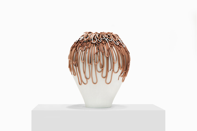 hilo-anemone
