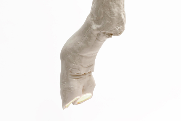 fauno-s-leg