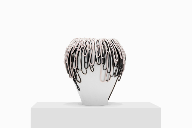 hilo-cnidaria